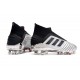 Chaussures de Football adidas Predator 19+ FG Argent Noir