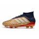 Nouveau Chaussures De Football Adidas Predator 19.1 FG Or